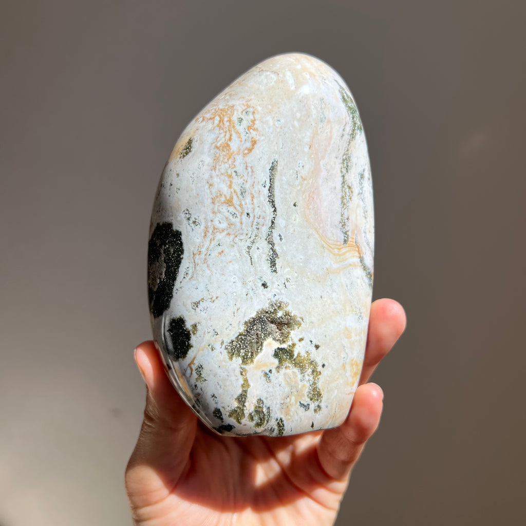 Orbicular Ocean Jasper Freeform